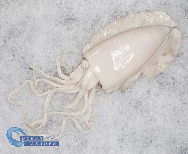 Sepia Limpia